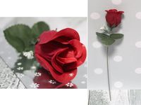 walentynkowa róża w rożku foliowym 35 cm - 20 szt       vab-18093