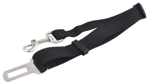 Pasy dla psa - smycz do samochodu na Arena.pl