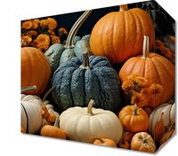 product-compare-59466827