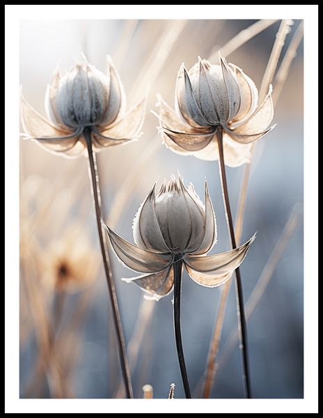 Plakat 60x80cm Poetycka Jesień zdjęcie 3