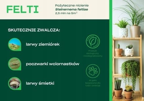 FELTI 2,5 mln pożyteczne NICIENIE bio preparat na ZIEMIÓRKI na Arena.pl