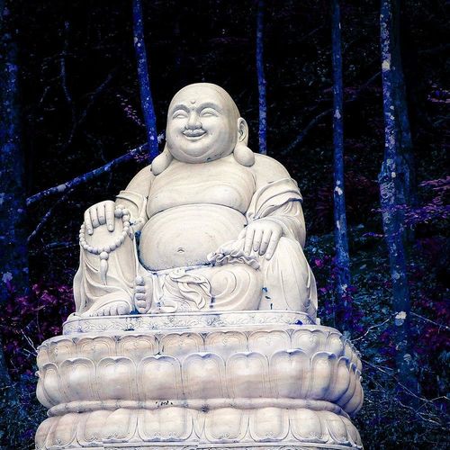 Obraz na płótnie - Canvas, Budda w lesie 60x40 na Arena.pl