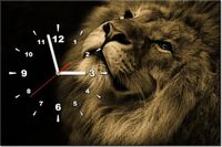 product-compare-58616010