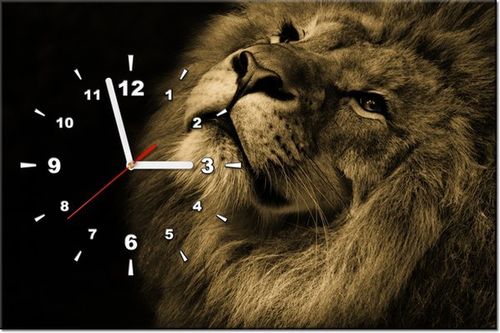 60CM 40CM ZEGAR OBRAZ ZŁOTY LEW RAMA ŚCIENNY na Arena.pl