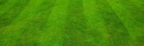 KOSIARKA SPALINOWA MURRAY 125cc 46cm Briggs & Stratton MOCNA EQ2-400 na Arena.pl