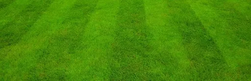 KOSIARKA SPALINOWA MURRAY 125cc 46cm Briggs & Stratton MOCNA EQ2-400 zdjęcie 12