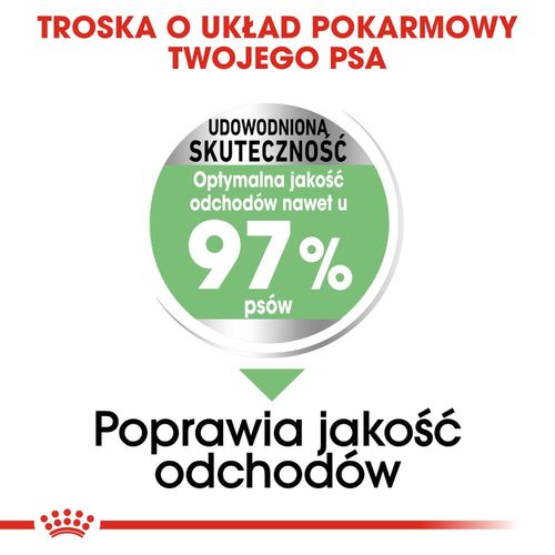 royal canin ccn maxi digestive care 12kg na Arena.pl