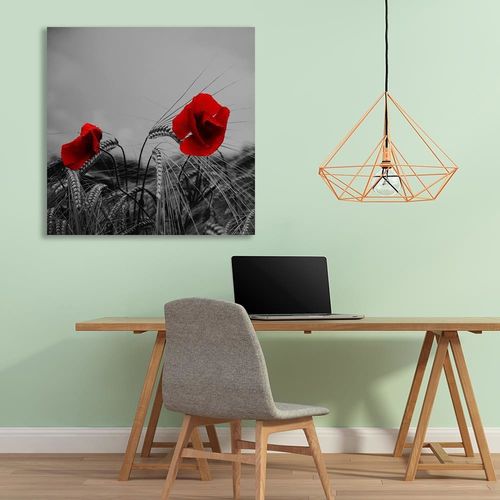 Deco Panel, Czerwone maki i zboże 40x40 na Arena.pl