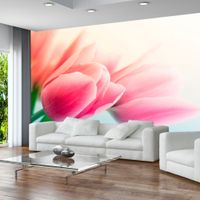 Fototapeta - Wiosna i tulipany 200x154