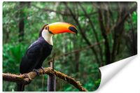 Fototapeta Do Jadalni TUKAN Tropikalny Ptak Efekt 3D 315cm x 210cm