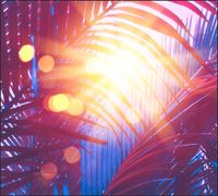 Tło do fotografii produktowej kulinarnej Flat Lay