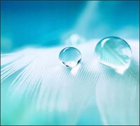 Tło do fotografii produktowej kulinarnej Flat Lay