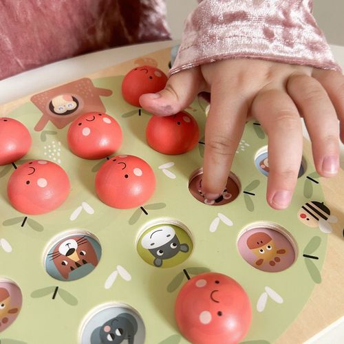MEMORY GRA PAMIĘCIOWA JABŁUSZKA EDUKACYJNA ZNAJDŹ OBRAZEK GAME TOOKY TOY na Arena.pl