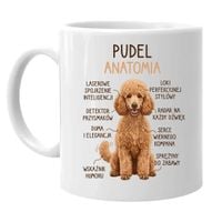 Pudel - anatomia - kubek na prezent