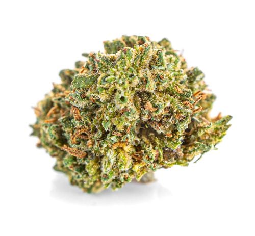Susz konopny CBD | WHITE WIDOW | 100 g na Arena.pl