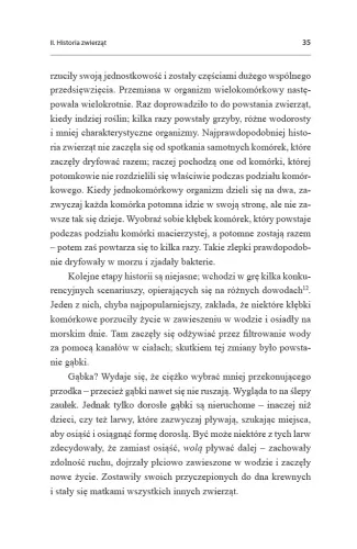 Inne umysły. Ośmiornice i prapoczątki świadomości na Arena.pl