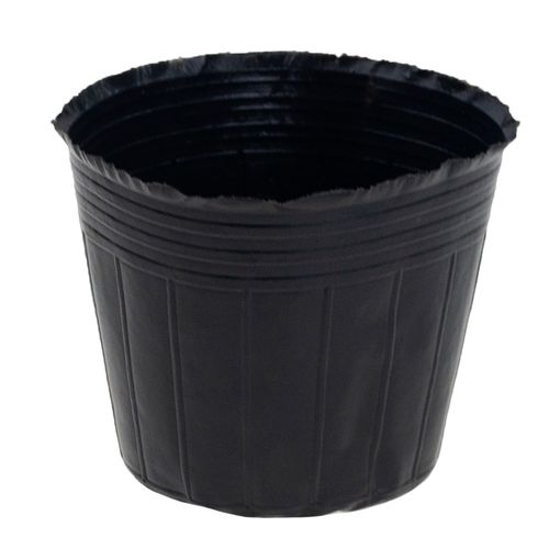 DONICZKI PRODUKCYJNE DO ROZSAD UPRAW WYSIEWU SADZONKI 10SZT/KPL 15X10X na Arena.pl