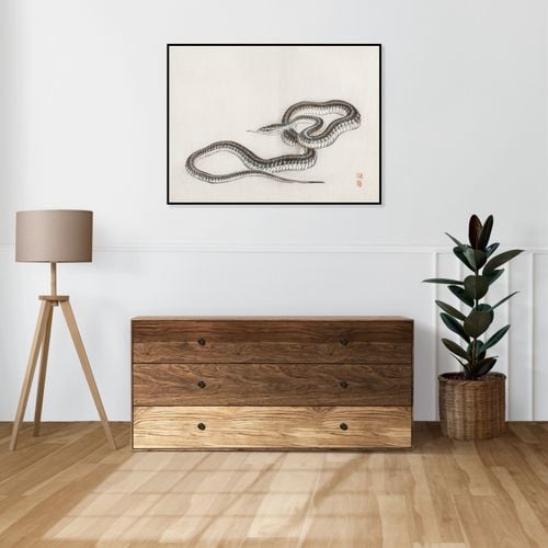 Plakat 40x30cm Snake, Kōno Bairei na Arena.pl