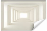 Fototapeta Do Sypialni Beżowy Nowoczesny TUNEL Efekt 3D 450cm x 300cm