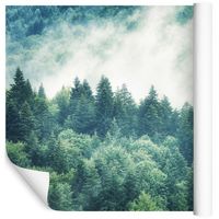 Fototapeta Las we Mgle Drzewa ZIELEŃ do Sypialni 270x180