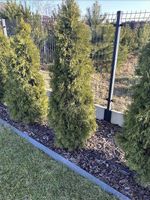 LINIA KROPLUJĄCA XXL 100m + 100el NAWODNIENIE KROPELKOWE WĄŻ KROPELKUJĄCY