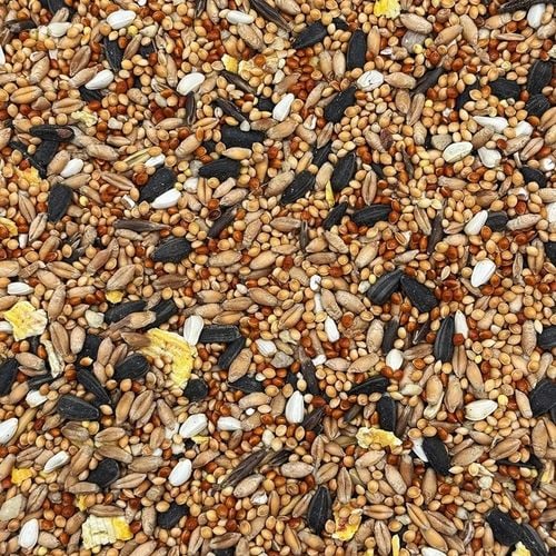 MIX DLA PAPUG FALISTYCH i ŚREDNICH Karma 20kg Nimfa Rozella STANDARD na Arena.pl