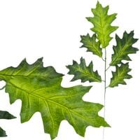 product-compare-60877807