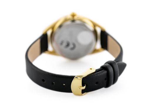 ZEGAREK DAMSKI PERFECT E347 (zp954g) + BOX na Arena.pl