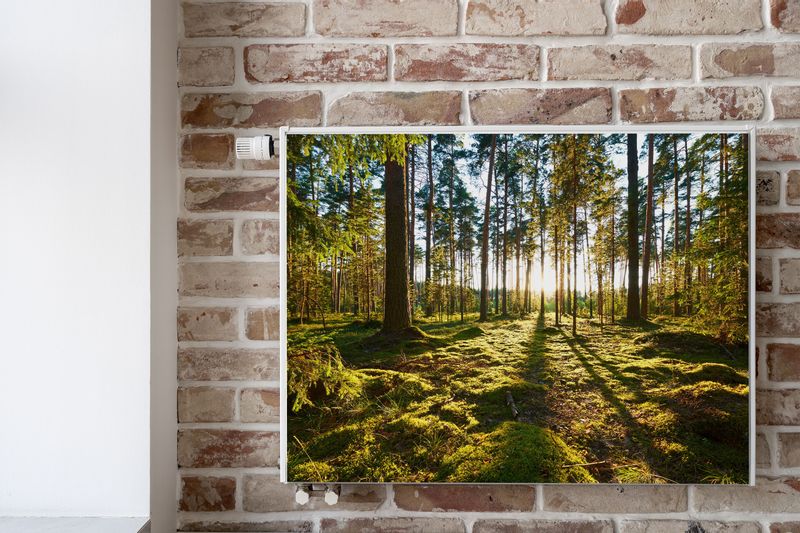 Osłona Magnetyczna Na Kaloryfer Las PEJZAŻ Leśny Natura 80cm x 60cm zdjęcie 6