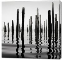 product-compare-59477295