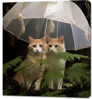 Obraz 90x100cm Podwójna Ochrona