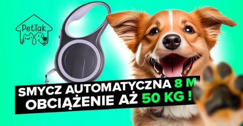 SMYCZ AUTOMATYCZNA DLA PSA TAŚMA Z BLOKADĄ PETTAK MOCNA ZWIJANA 50KG 8M na Arena.pl