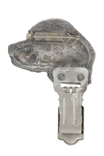 Beagle - klips - 693 na Arena.pl