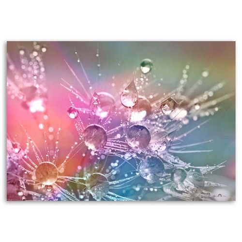 OBRAZ NA PŁÓTNIE Dmuchawiec Krople Kwiaty na Arena.pl