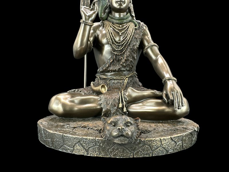 MEDYTUJĄCY SHIVA VERONESE WU76758A4 zdjęcie 3