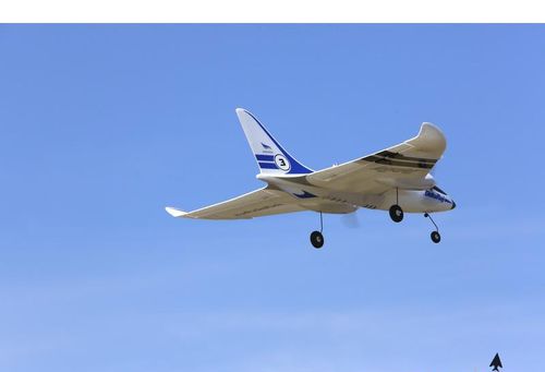 Firebird Delta Ray RTF Mode 2 (1-4) DXe na Arena.pl