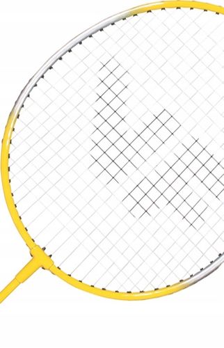 Zestaw rakiet do badmintona + lotki VICFUN Hobby Typ B na Arena.pl