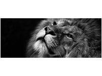 100X40CM SREBRNY LEW OBRAZ DREWNO