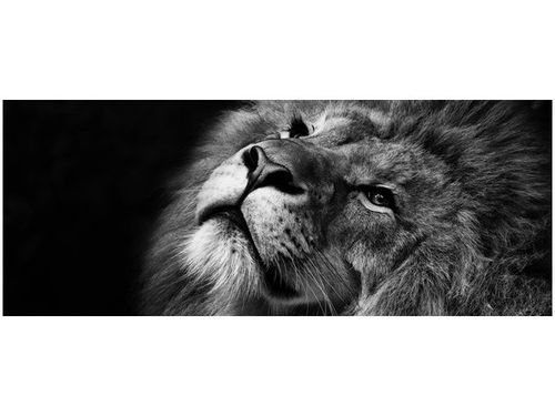 100X40CM SREBRNY LEW OBRAZ DREWNO na Arena.pl