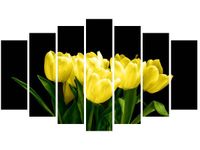 product-compare-58695587