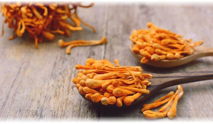 Suplement diety Aliness Cordyceps 400 mg 90 kapsułek zdjęcie 3