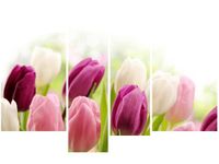 product-compare-58696747