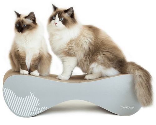 MyKotty Drapak Vigo siwy na Arena.pl