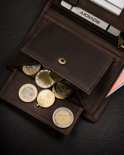 portfel męski skórzany n4-chm-dog-1-bl-brown na Arena.pl