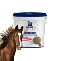 Derby Aminotop Mieszanka Paszowa Uzupełniająca Z Aminokwasami Dla Koni 5kg