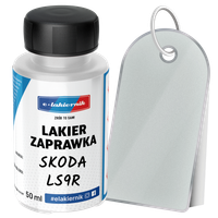 lakier zaprawkowy zaprawka samochodowy skoda ls9r s9r 2y 2y2y bila moon