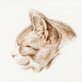 Plakat 60x60cm Szkic Kota 3, Jean Bernard Vintage do Salonu