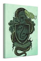 Harry Potter Slytherin - obraz na płótnie 60x80 cm