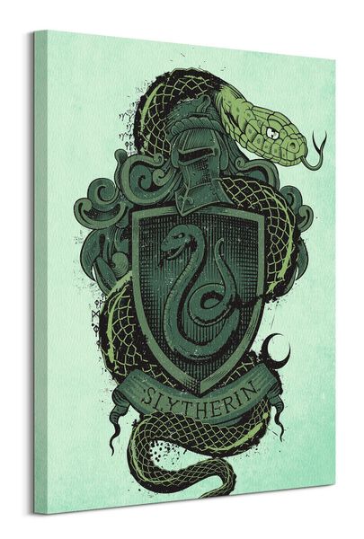 Harry Potter Slytherin - obraz na płótnie 60x80 cm zdjęcie 1
