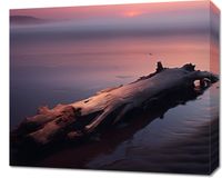 Obraz 60x50cm W Oczekiwaniu Na Koniec